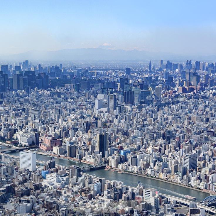 Ana Pereira - Expat family life guide in Portugal